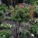english garden