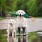 dog with rain boots and an umbrella in her mouth, stands next to her puppy on park pavement