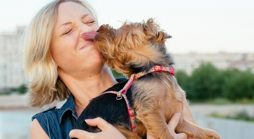 pup licks woman's face as she holds him outdoors