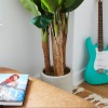 desk with a Vogue book next to window, plant in the corner and blue electric guitar against a wall